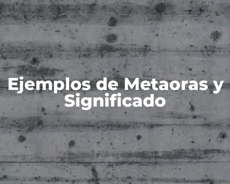 Ejemplos de Metaoras y Significado
