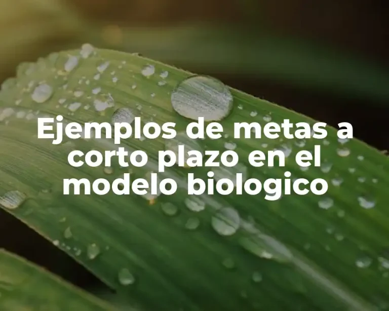 Ejemplos de metas a corto plazo en el modelo biologico