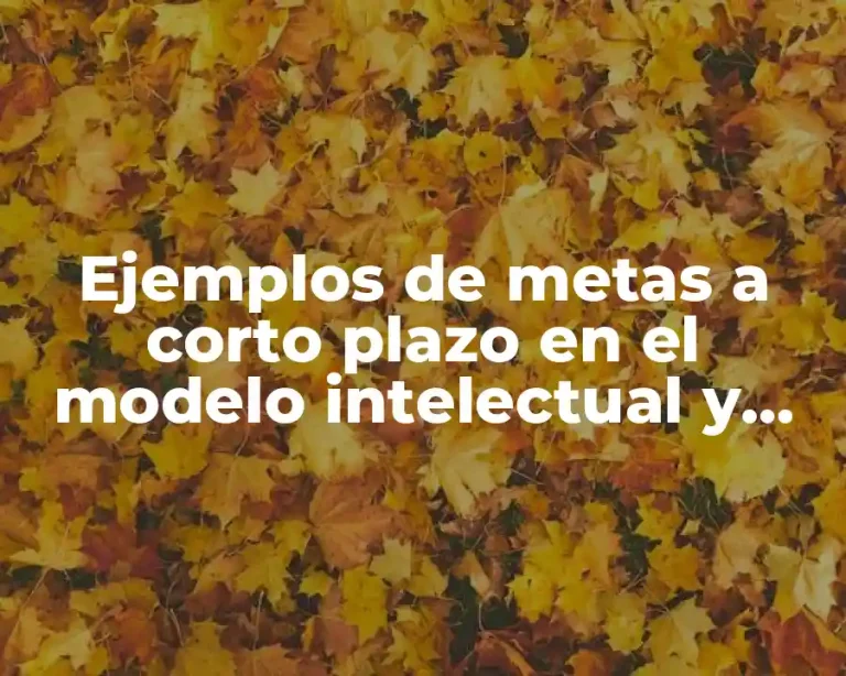 Ejemplos de metas a corto plazo en el modelo intelectual y Significado