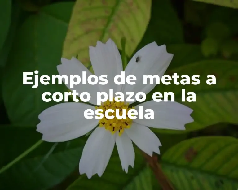 Ejemplos de metas a corto plazo en la escuela