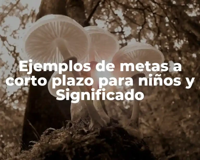 Ejemplos de metas a corto plazo para niños y Significado