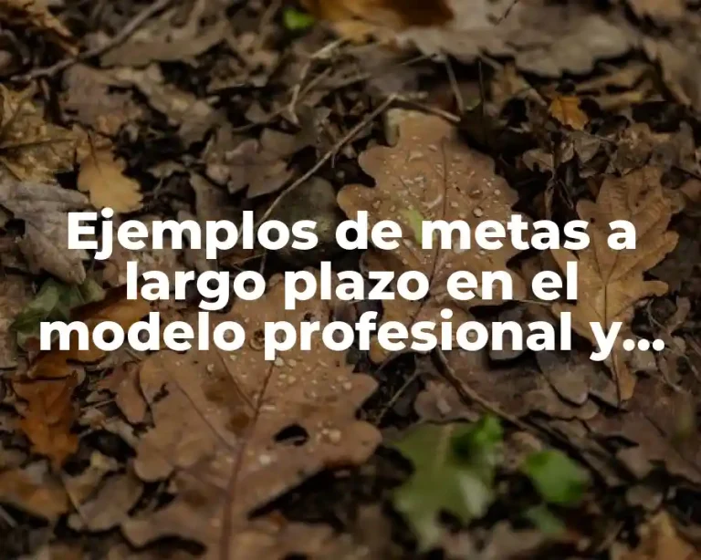 Ejemplos de metas a largo plazo en el modelo profesional y Significado