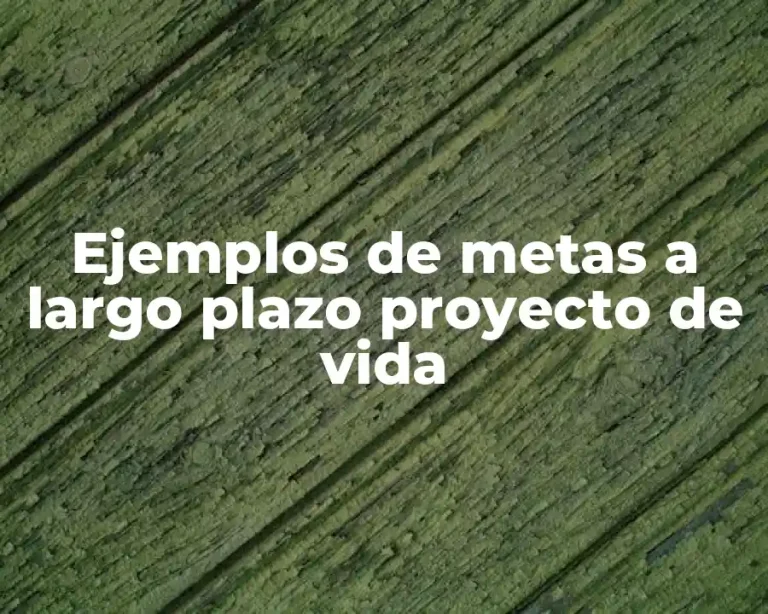 Ejemplos de metas a largo plazo proyecto de vida
