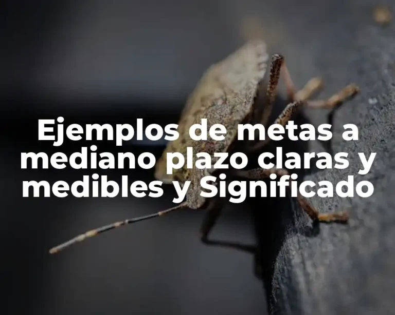 Ejemplos de metas a mediano plazo claras y medibles y Significado