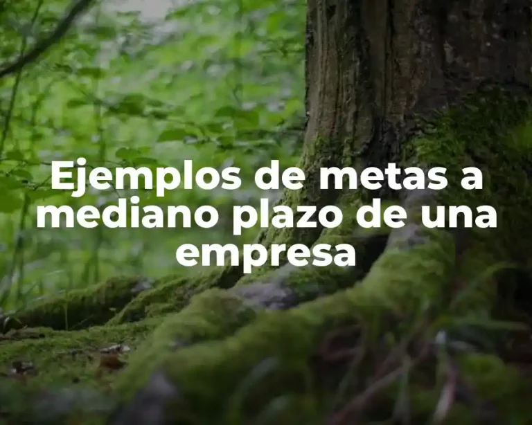 Ejemplos de metas a mediano plazo de una empresa