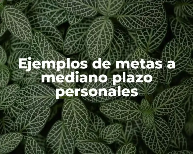 Ejemplos de metas a mediano plazo personales