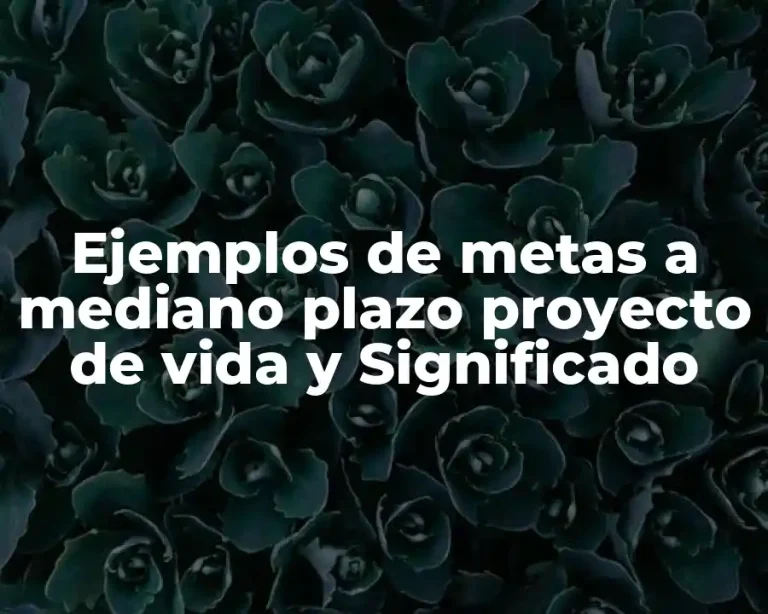 Ejemplos de metas a mediano plazo proyecto de vida y Significado