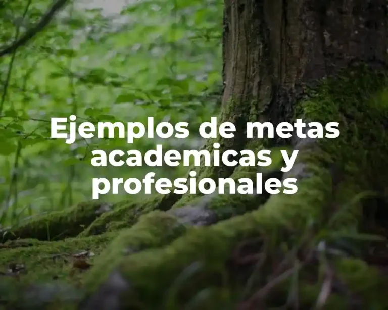 Ejemplos de metas academicas y profesionales