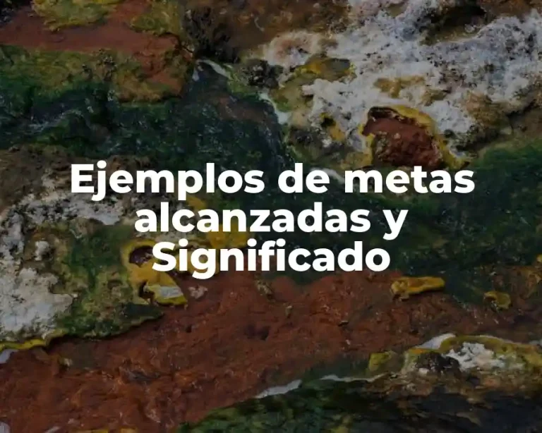 Ejemplos de metas alcanzadas y Significado