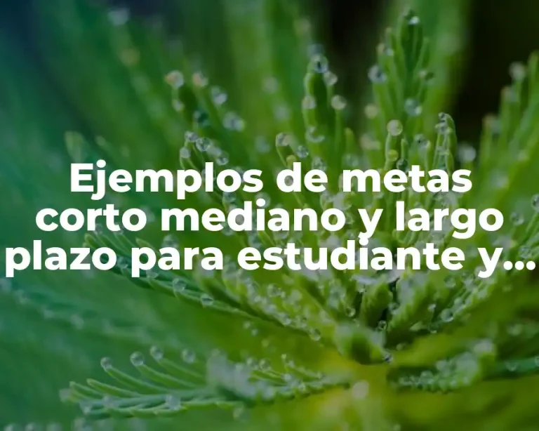 Ejemplos de metas corto mediano y largo plazo para estudiante y Significado
