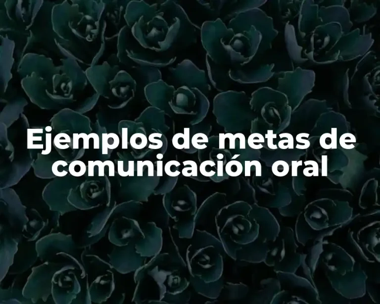 Ejemplos de metas de comunicación oral