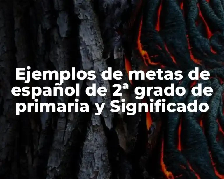 Ejemplos de metas de español de 2ª grado de primaria y Significado