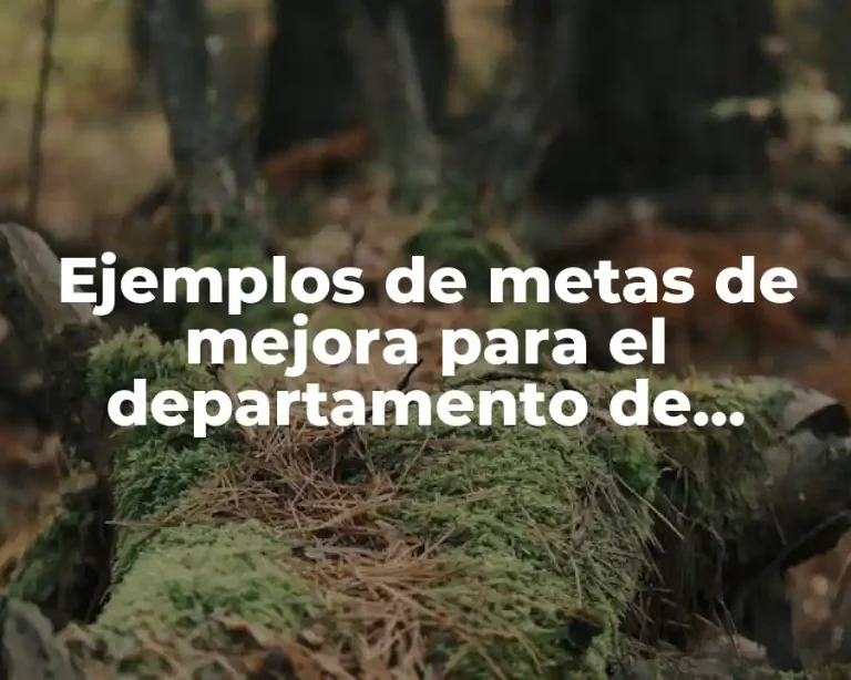 Ejemplos de metas de mejora para el departamento de vinculación