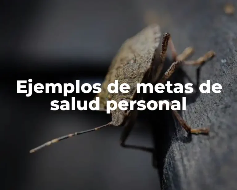 Ejemplos de metas de salud personal