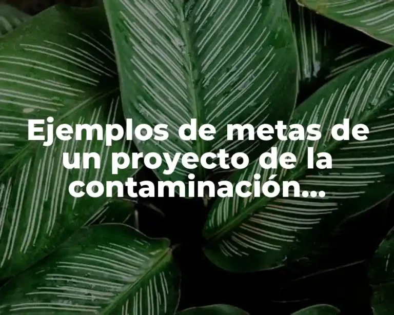 Ejemplos de metas de un proyecto de la contaminación ambiental