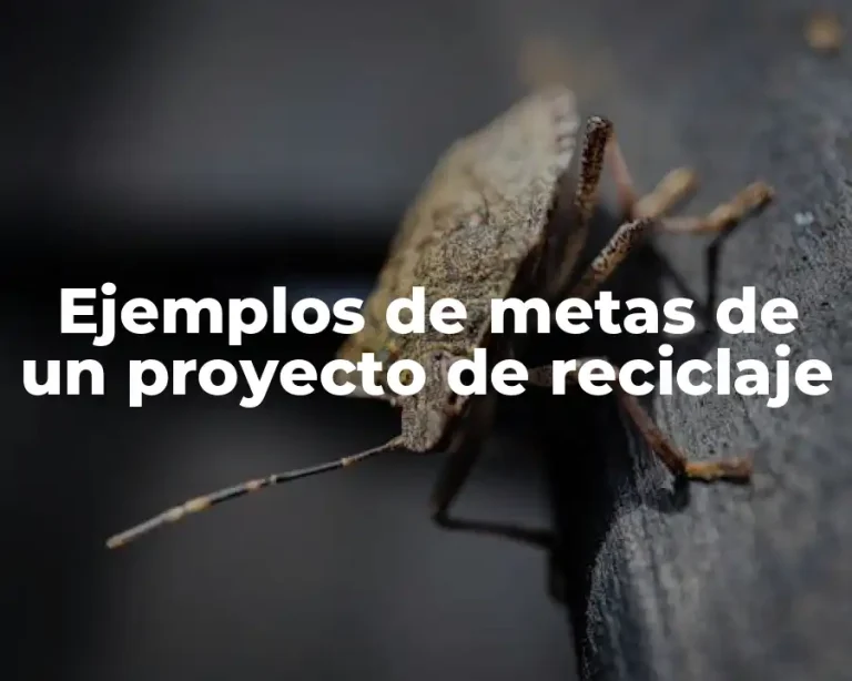 Ejemplos de metas de un proyecto de reciclaje