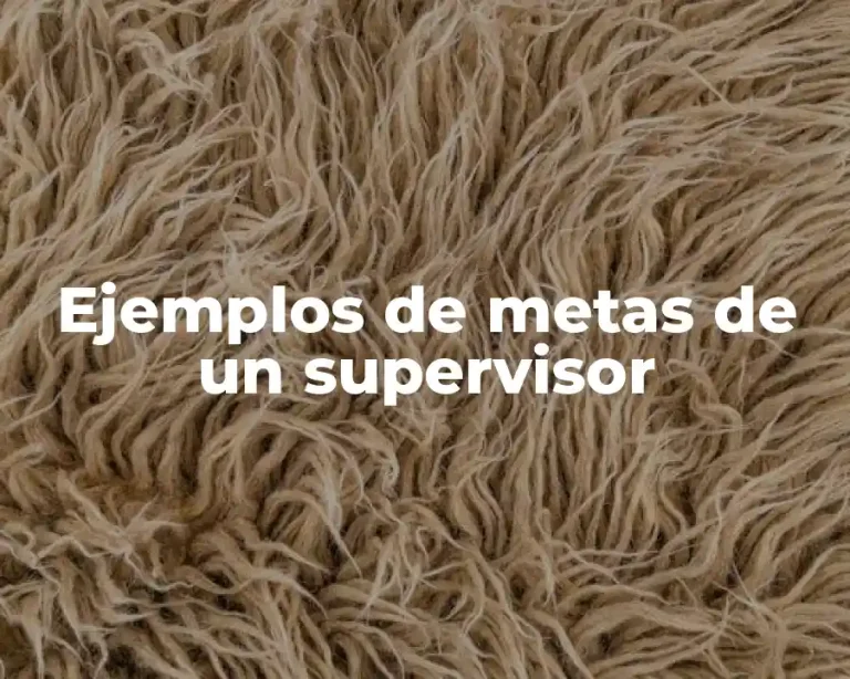 Ejemplos de metas de un supervisor