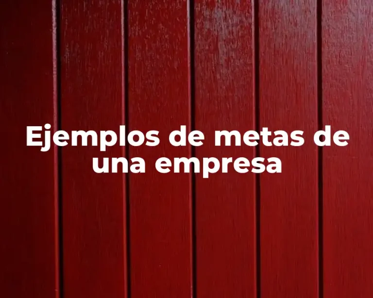 Ejemplos de metas de una empresa