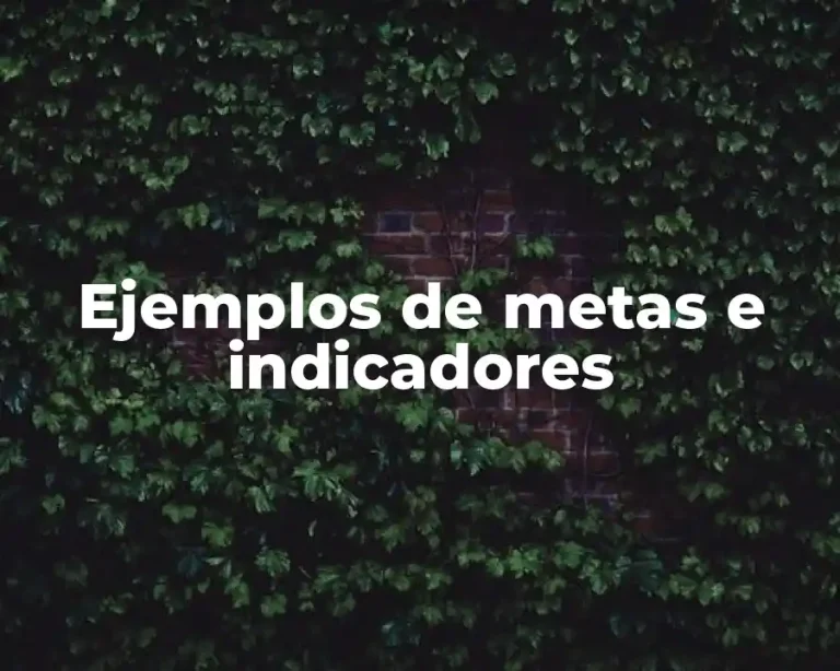 Ejemplos de metas e indicadores