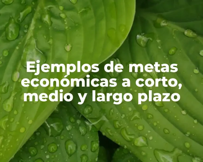 Ejemplos de metas económicas a corto, medio y largo plazo