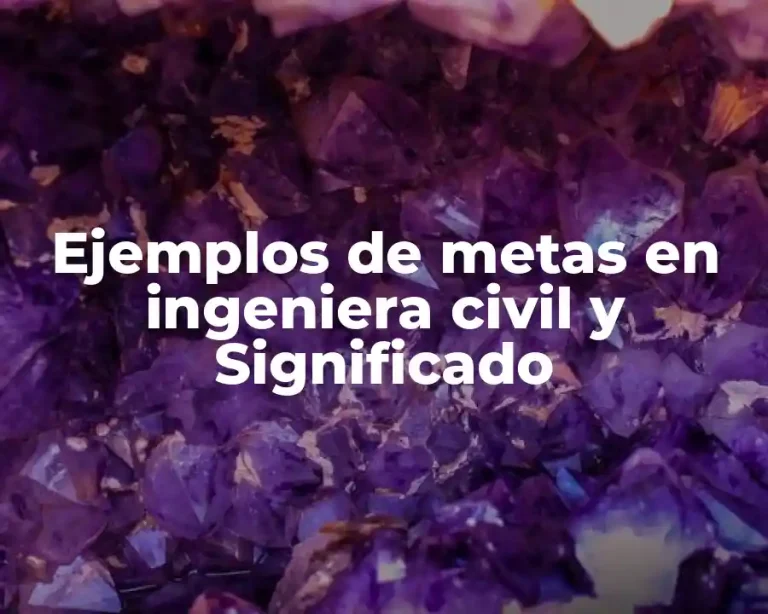 Ejemplos de metas en ingeniera civil y Significado