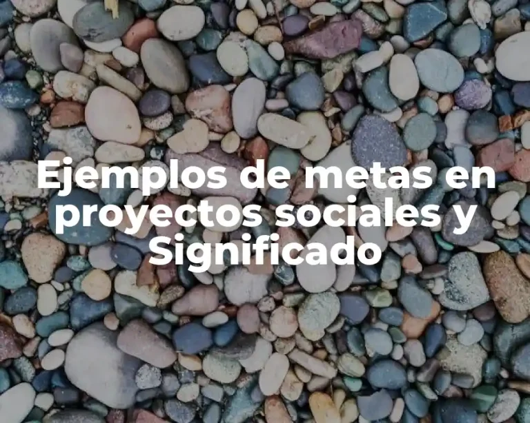 Ejemplos de metas en proyectos sociales y Significado