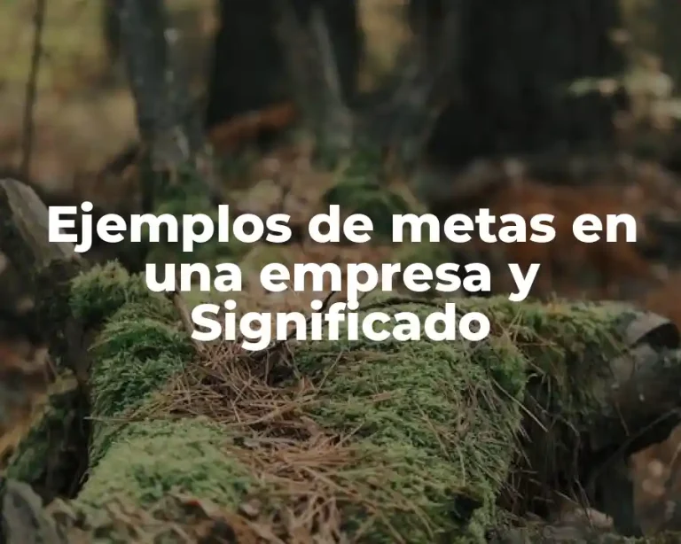 Ejemplos de metas en una empresa y Significado