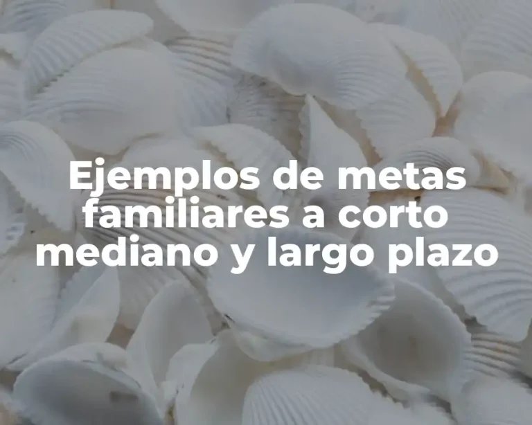 Ejemplos de metas familiares a corto mediano y largo plazo