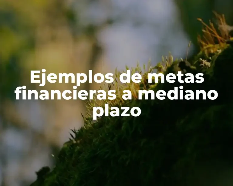 Ejemplos de metas financieras a mediano plazo