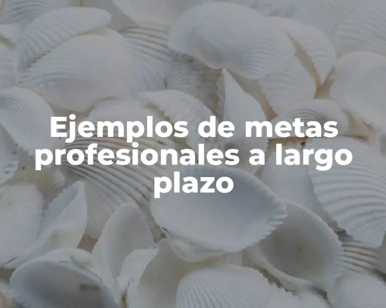Ejemplos de metas profesionales a largo plazo