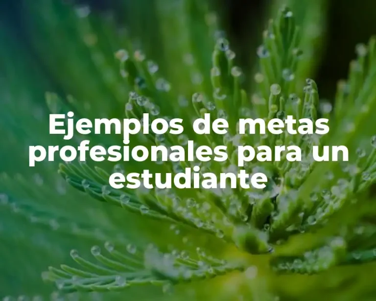 Ejemplos de metas profesionales para un estudiante