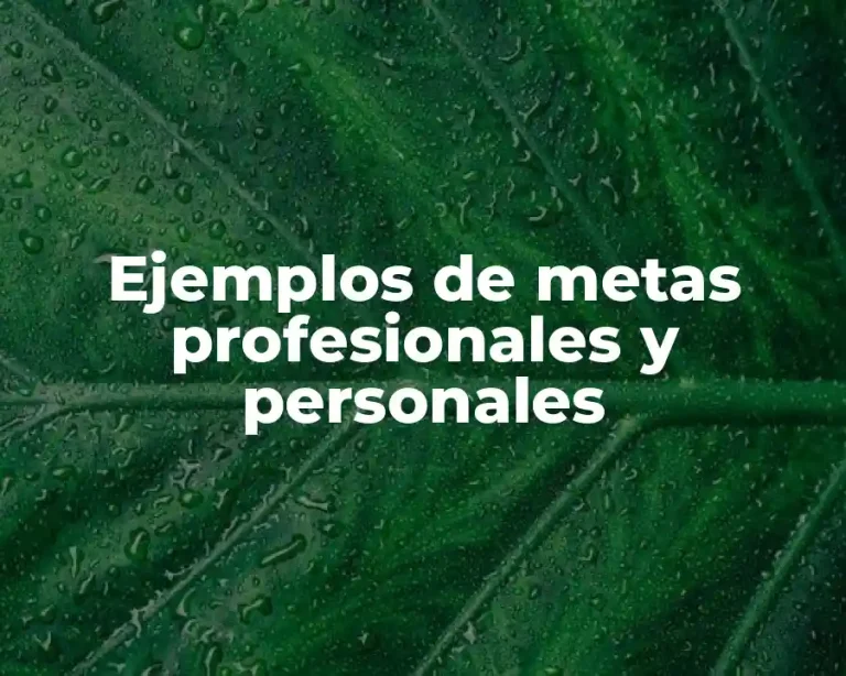 Ejemplos de metas profesionales y personales