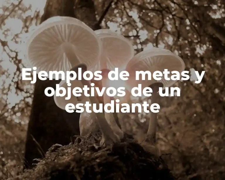 Ejemplos de metas y objetivos de un estudiante