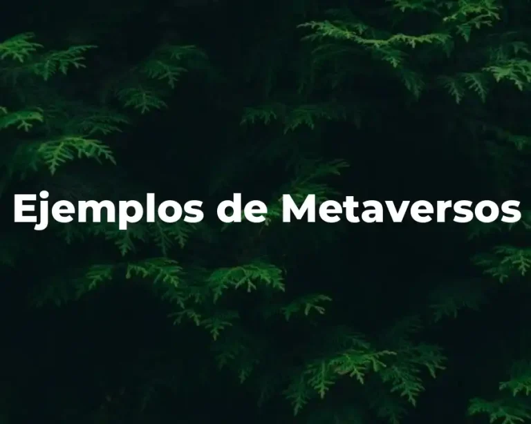 Ejemplos de Metaversos