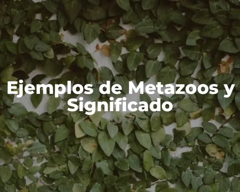 Ejemplos de Metazoos y Significado