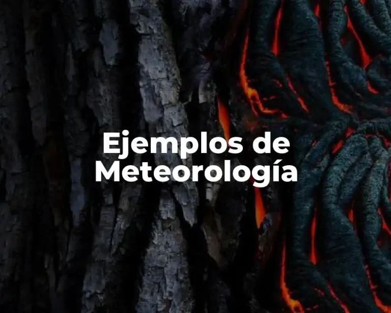 Ejemplos de Meteorología