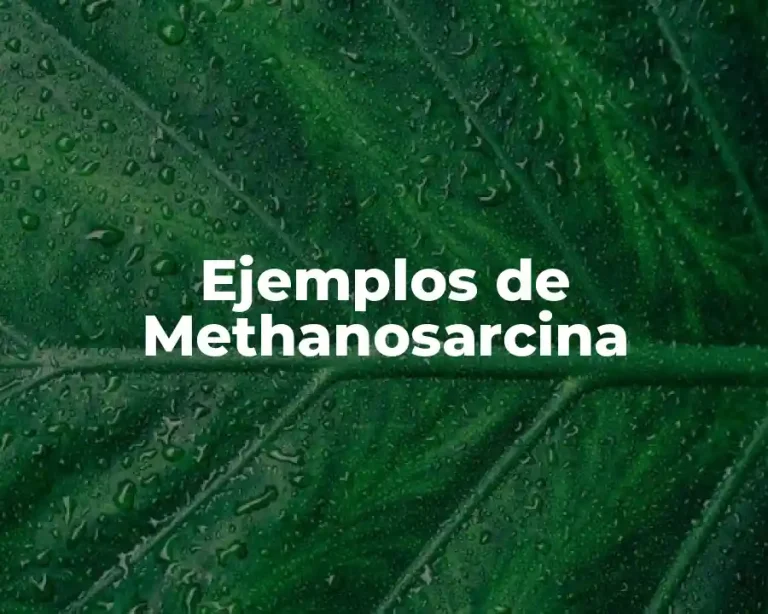 Ejemplos de Methanosarcina
