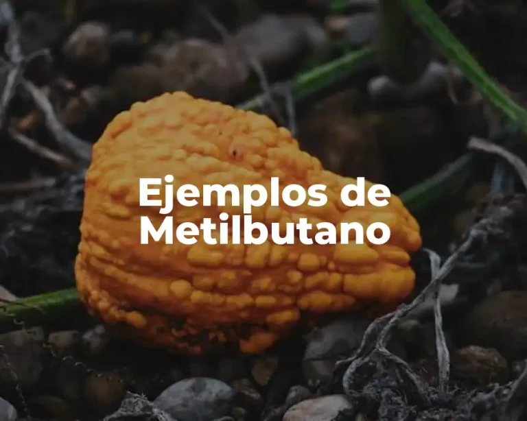 Ejemplos de Metilbutano