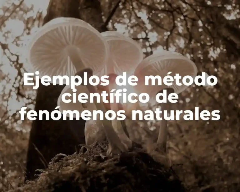 Ejemplos de método científico de fenómenos naturales