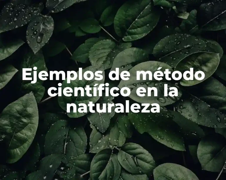 Ejemplos de método científico en la naturaleza