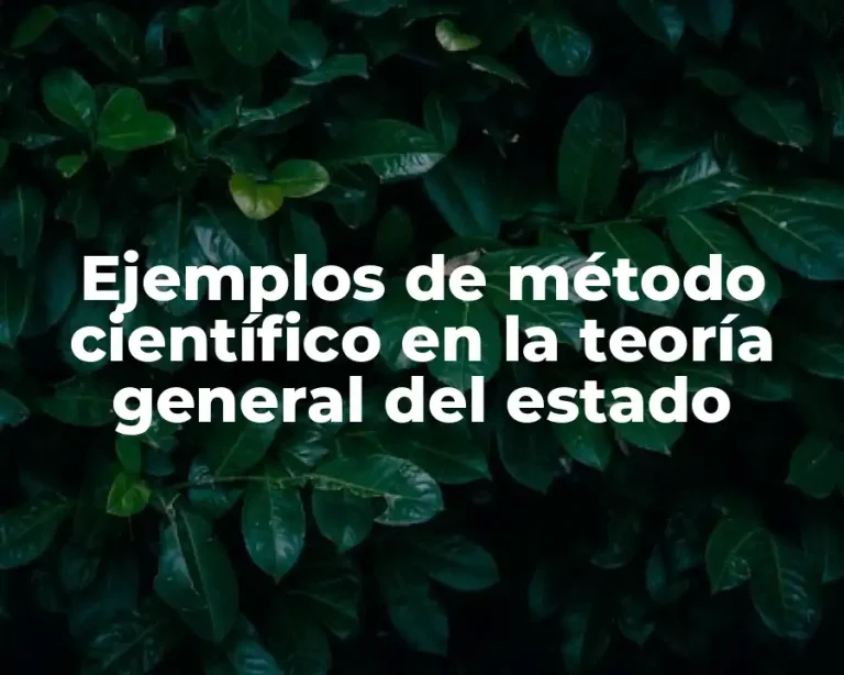 Ejemplos de método científico en la teoría general del estado