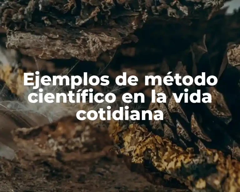 Ejemplos de método científico en la vida cotidiana