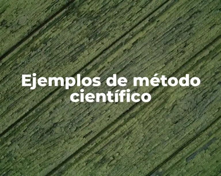 Ejemplos de método científico