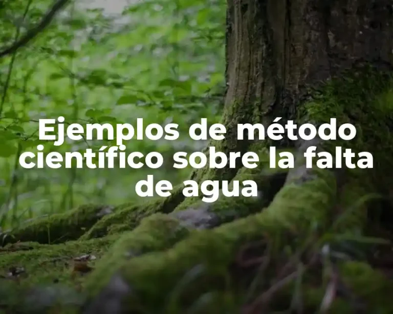 Ejemplos de método científico sobre la falta de agua