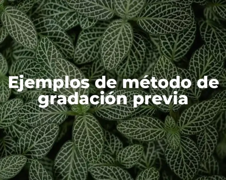 Ejemplos de método de gradación previa