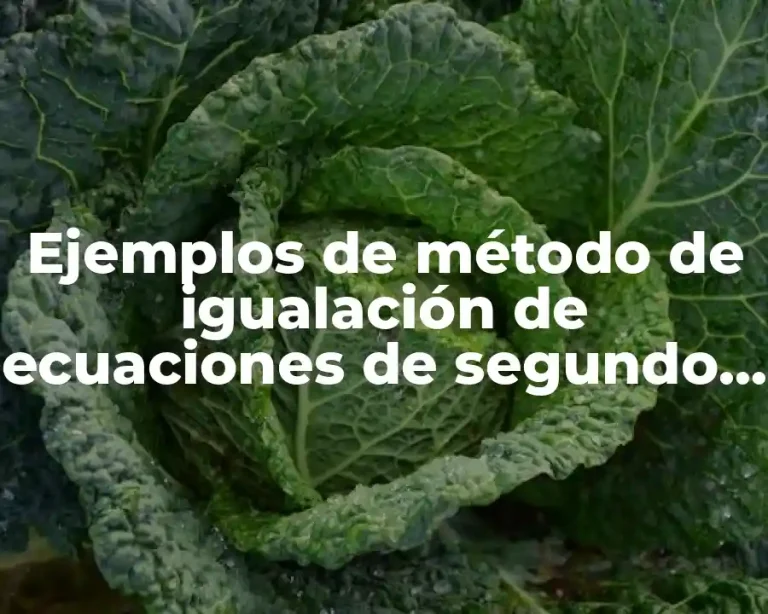 Ejemplos de método de igualación de ecuaciones de segundo grado