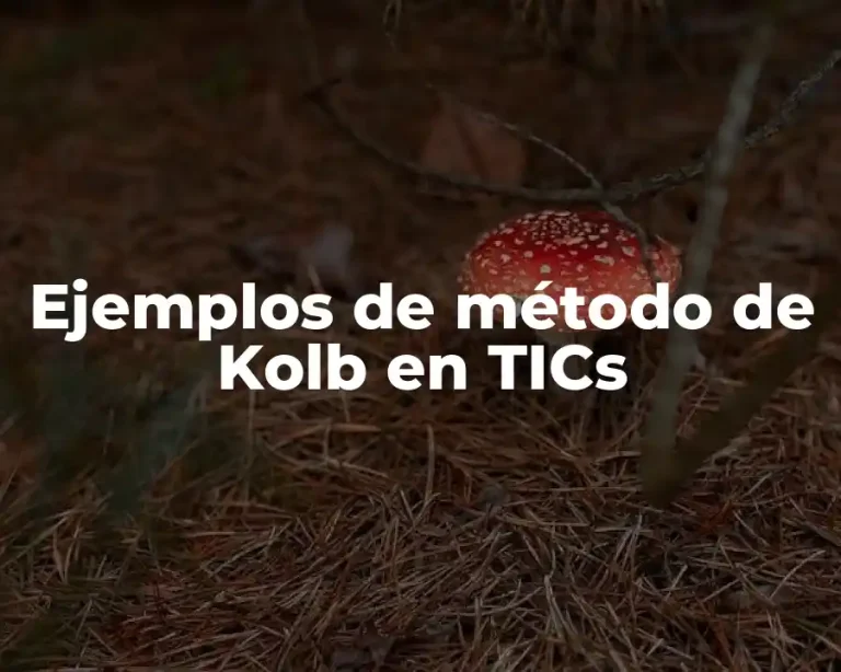 Ejemplos de método de Kolb en TICs