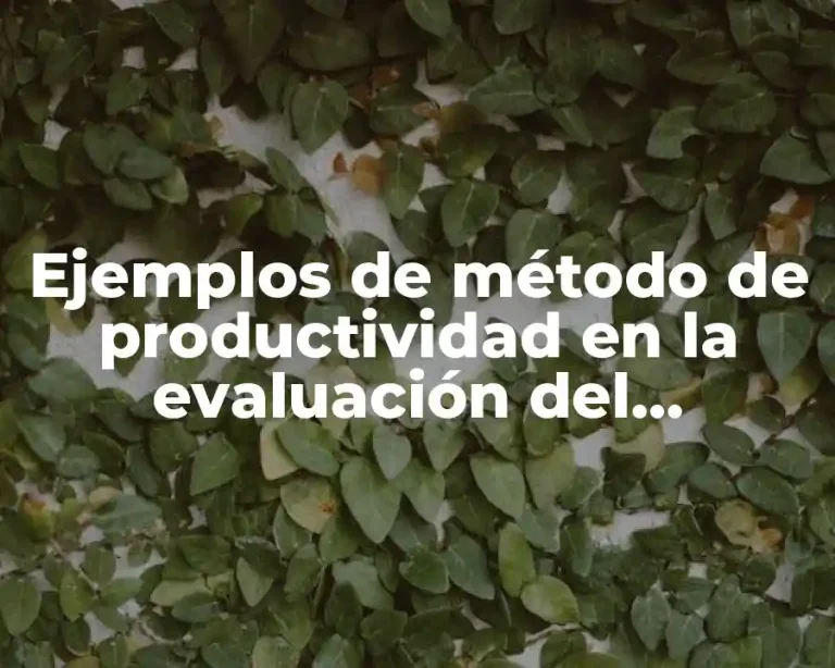 Ejemplos de método de productividad en la evaluación del desempeño