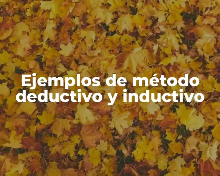 Ejemplos de método deductivo y inductivo