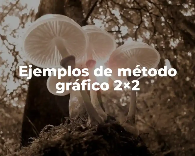 Ejemplos de método gráfico 2×2